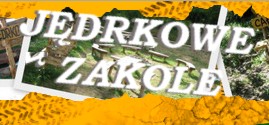 jedrek