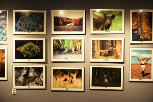 Wieści z działań z Złocienieckiego Ośrodka Kultury