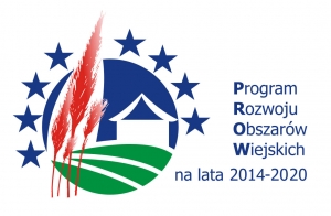 Konsultacje społeczne na terenie gmin Lokalnej Grupy Działania &bdquo;Partnerstwo Drawy z Liderem Wałeckim&rdquo;