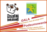 Podsumowanie Działaj Lokalnie 2017